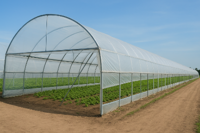 Invernadero Macrotúnel para hortalizas