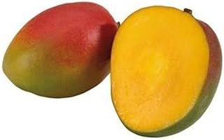 Mango bandeja 2 ud