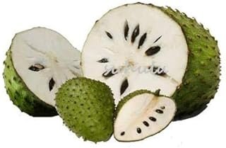 10 piezas de fruta de la guanábana, (), Multi-color de sweetsop semillas delicioso semillas de frutas de azúcar en el bonsái