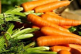 Fotos gratis : comida, Produce, vegetal, mercado, Zanahoria, vegetales, zanahorias, Huerta 3872x2592 - - 1058100 - Imagenes gratis - PxHere