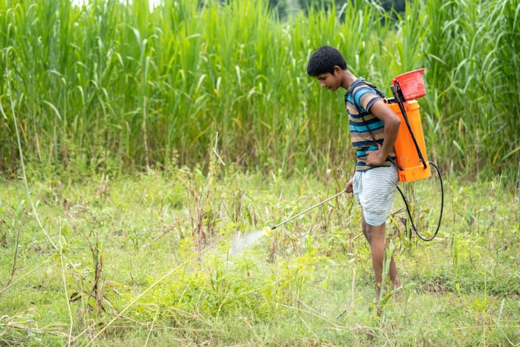 Gratis Fotos de stock gratuitas de agricultor, campos de cultivo, fumigando Foto de stock