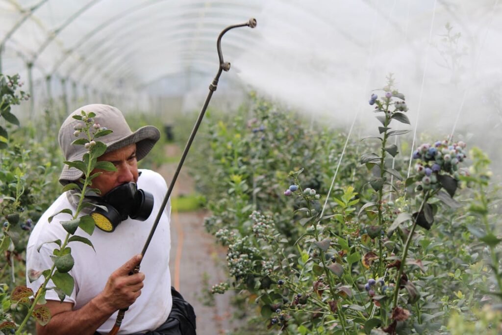 Un agricultor aplicando Agroquímicos con equipo de protección, demostrando la eficiencia en el manejo de plagas y enfermedades.