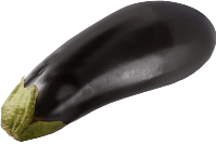 Guía de cultivo de la Berenjena