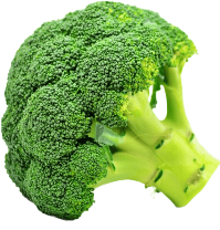 Guía de cultivo del Brócoli