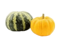 Guía de cultivo de Calabaza