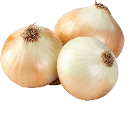 Guía de cultivo de la Cebolla