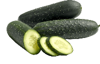 Guía de cultivo del Pepino