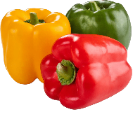 Guía de cultivo del Pimiento