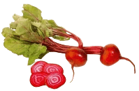 Guía de cultivo de la Remolacha