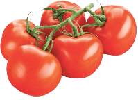 Guía de cultivo del tomate