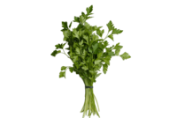 Foto_Perejil_Primavera