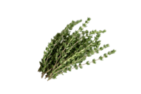 Foto_Tomillo_Primavera